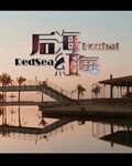 󺣼t/󺣡t