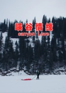 {龉